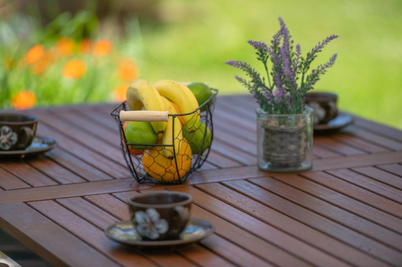 Holiday Home Dide Kanfanar Ngoại thất bức ảnh